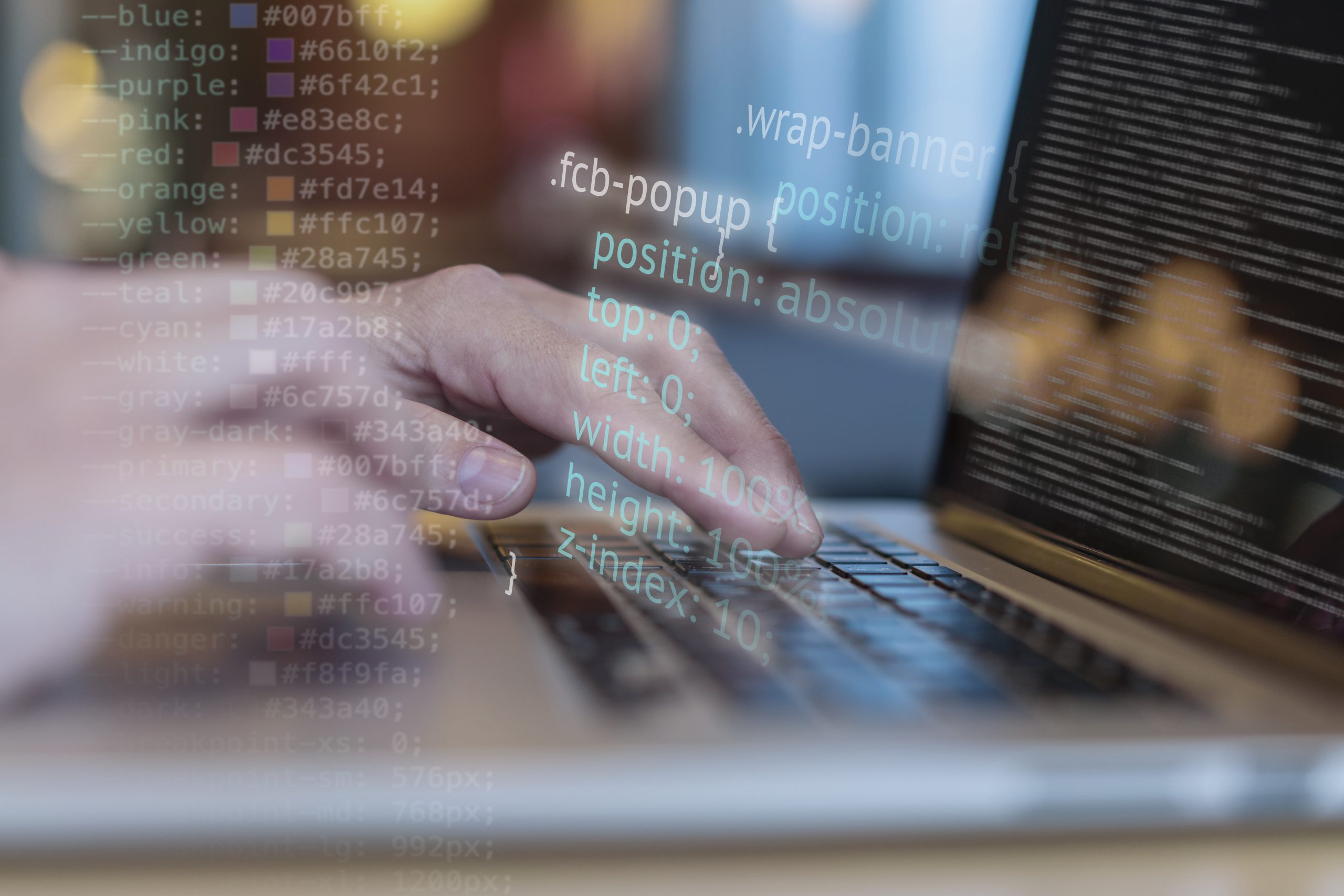 Junior Backend Developer